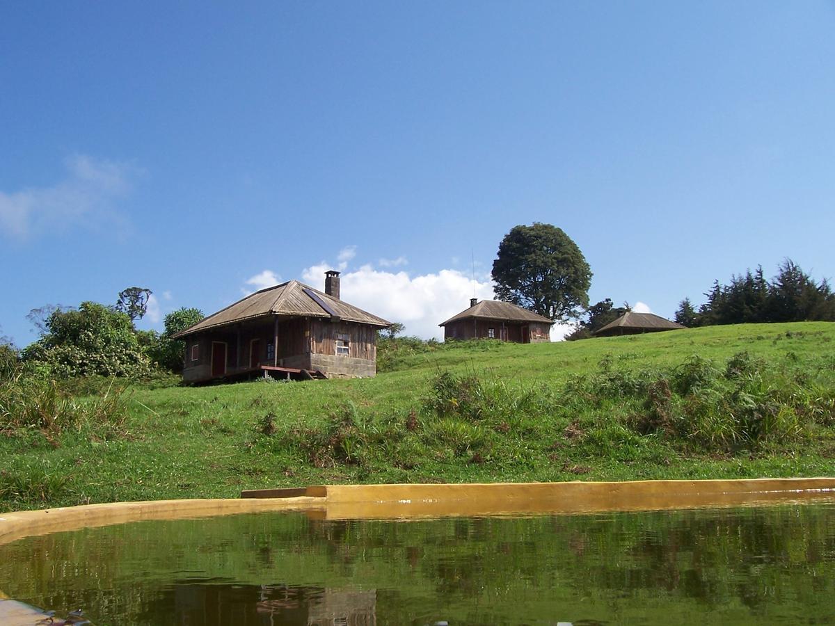 Castle Forest Lodge Mount Kenya National Park Exterior photo